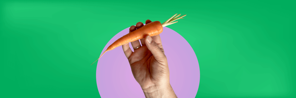 Curso Introducción a la Horticultura