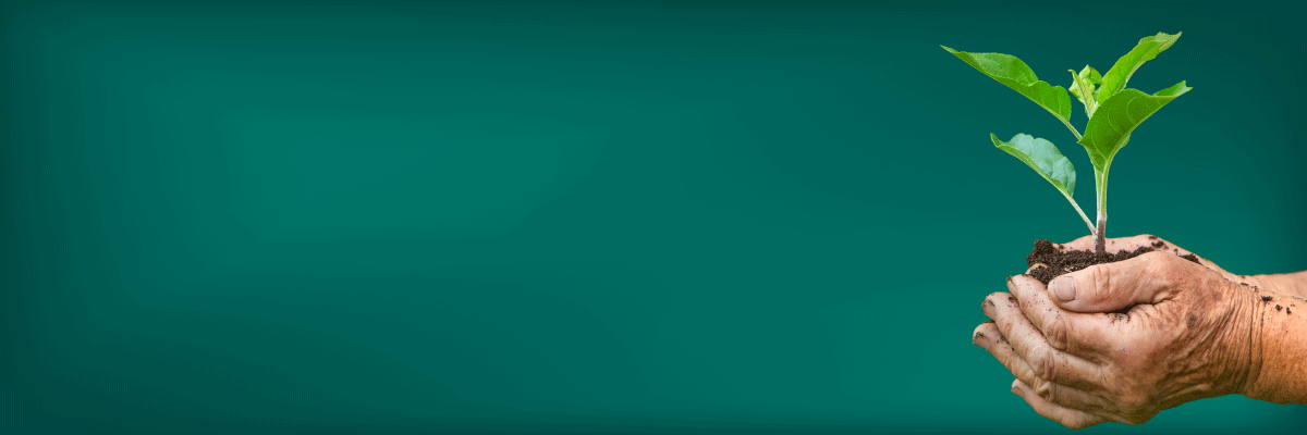 Curso Introducción a la Agronomía