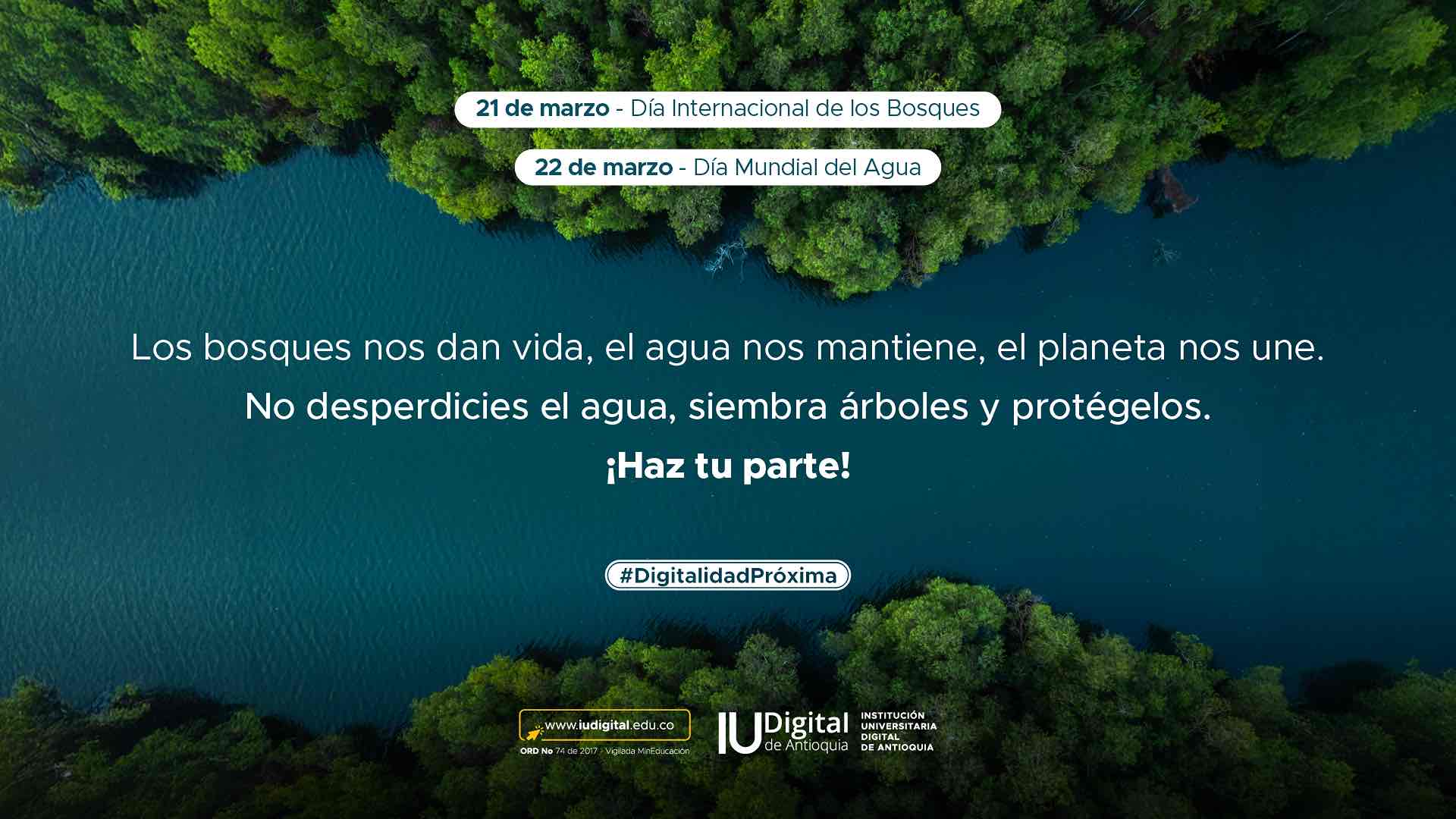 Campaña - Día bosques agua