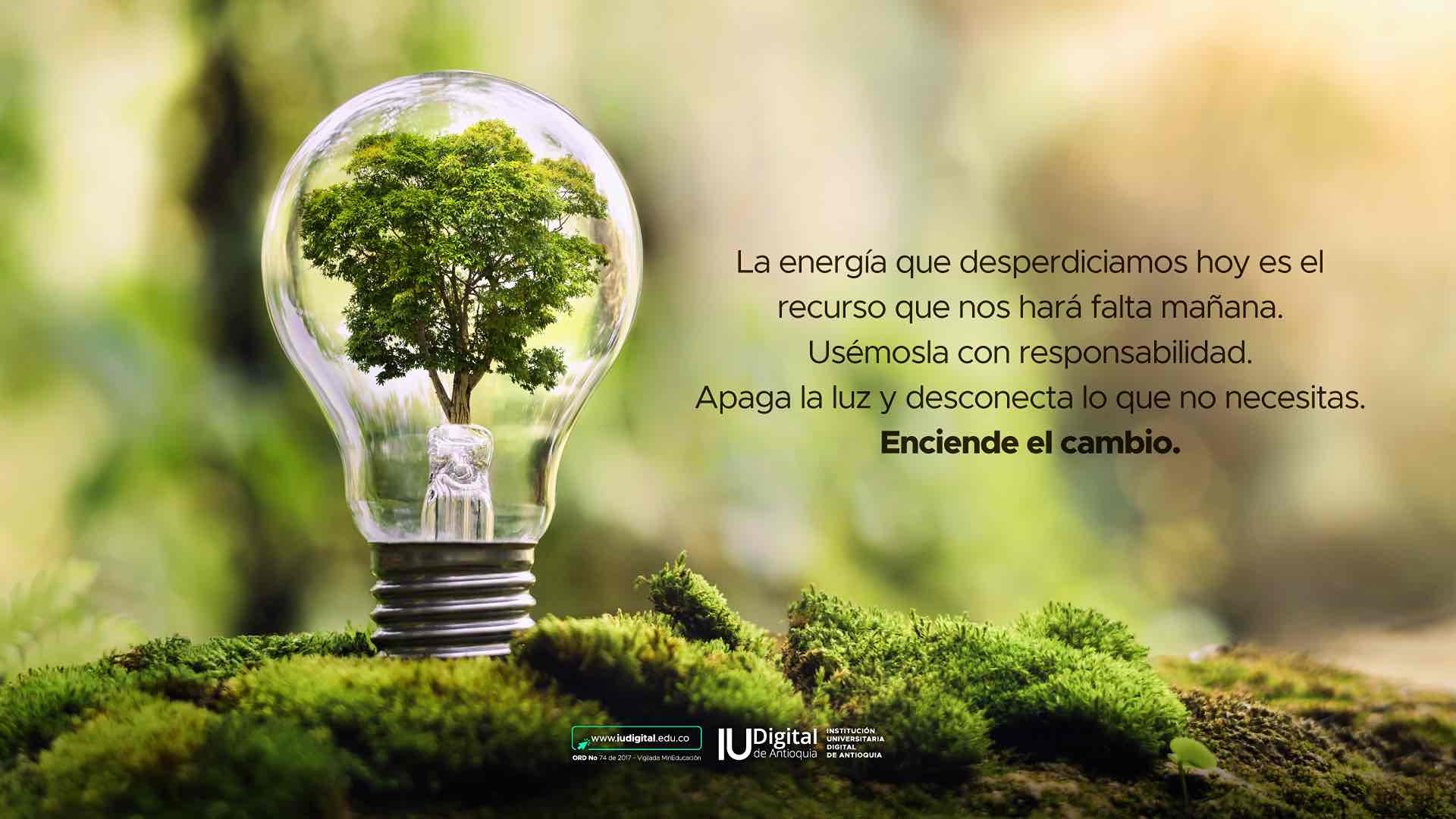Campaña - ECO energía
